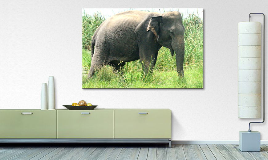 Das Wandbild Old Elephant von George Moringa