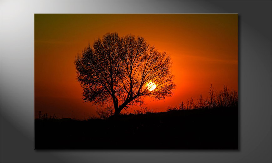 Das-gedruckte-Bild-Red-Sunset