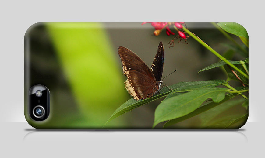 Modernes Phonecase Brown Butterfly