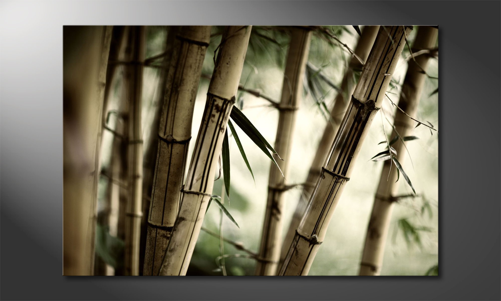 Bilder auf Leinwand Bambus 120cm XXL 1 5705 % Alle Wandbilder fertig gerahmt 