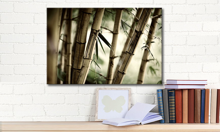 Das Leinwandbild Bamboo Forest 60x40 cm