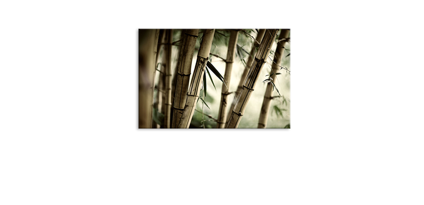 Das-Leinwandbild-Bamboo-Forest-60x40-cm