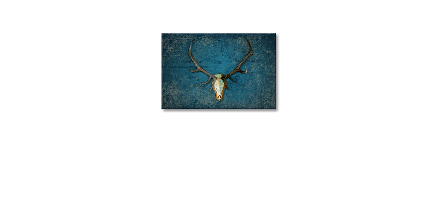 Das-Leinwandbild-Deerhead-90x60-cm