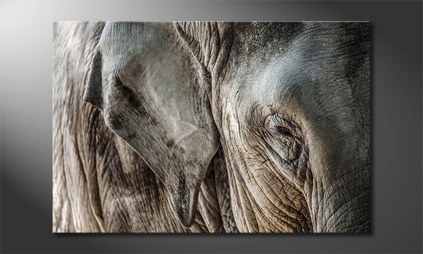 Das-Leinwandbild-Eye-of-Elephant