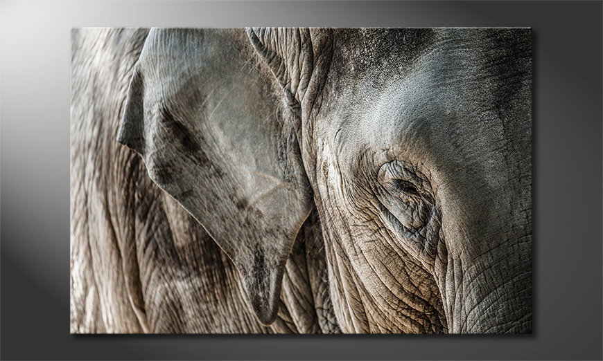 Das Leinwandbild Eye of Elephant
