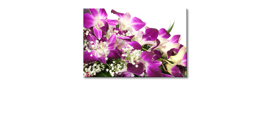 Das-Leinwandbild-Orchid-Blossom-120x80-cm