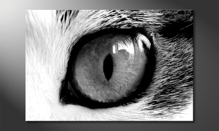 Das-Wandbild-Cats-Eye