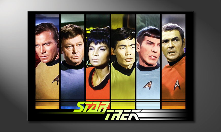 Das-Wandbild-Star-Trek-Crew