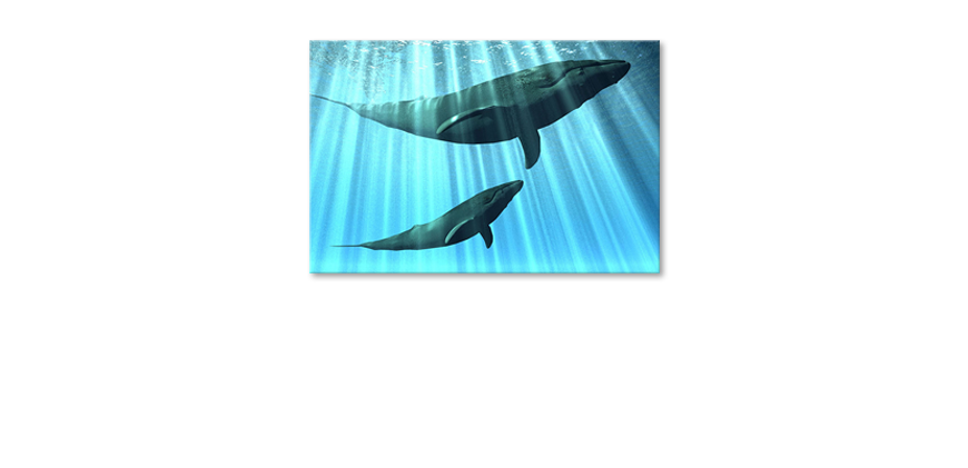 Das-blaue-Leinwandbild-Whales