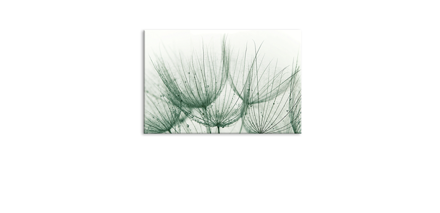 Das-exklusive-Bild-Detail-of-Dandelion-60x40-cm