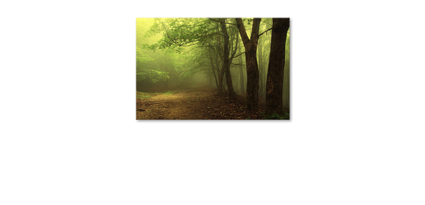 Das-exklusive-Bild-Green-Forest-120x80-cm