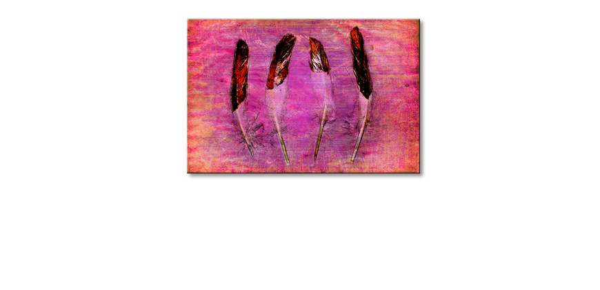 Das-gedruckte-Bild-Feathers-and-Pink