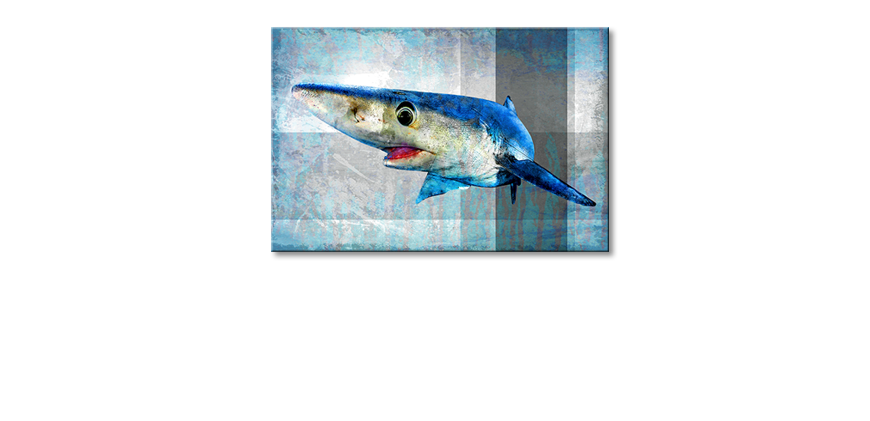 Das-gedruckte-Bild-Mr-Shark