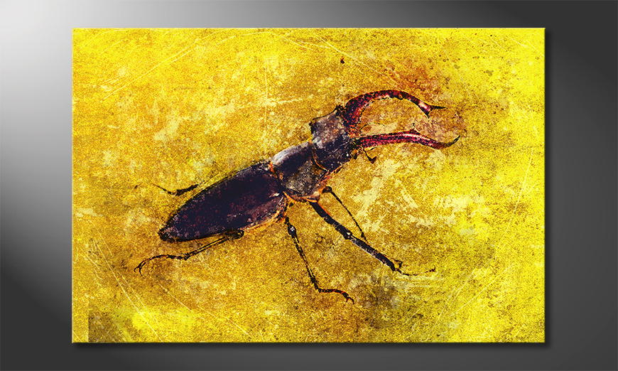 Das-gedruckte-Leinwandbild-Stag-Beetle