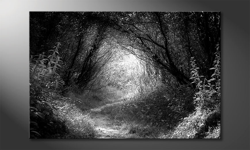 Das-schöne-Bild-Way-In-Deep-Forest