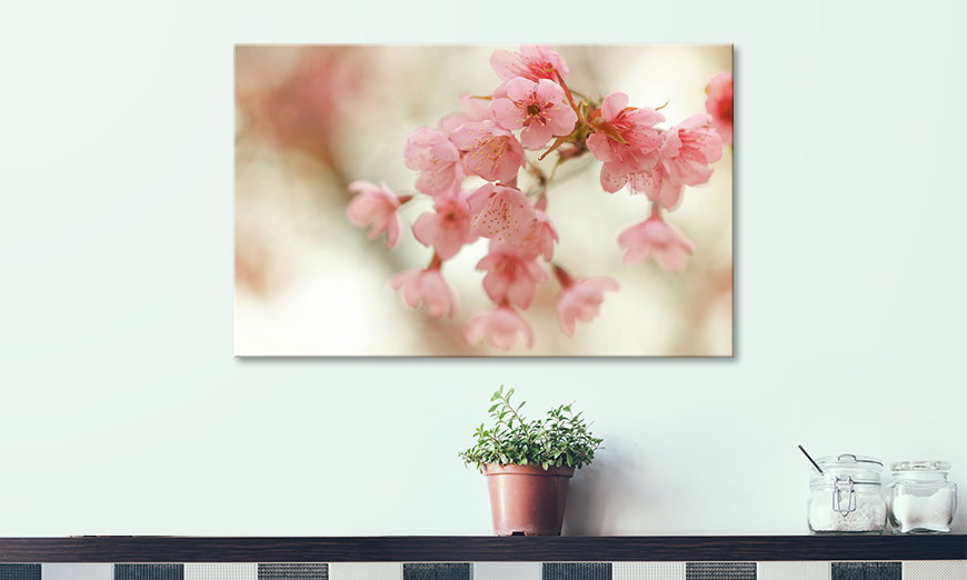 Ihr neues Leinwandbild Cherry Blossoms 80x50 cm