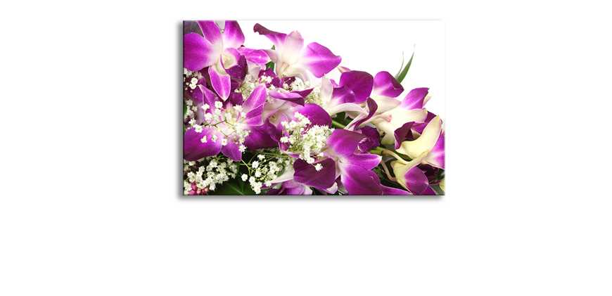 Ihr-neues-Leinwandbild-Orchid-Blossom-60x40-cm