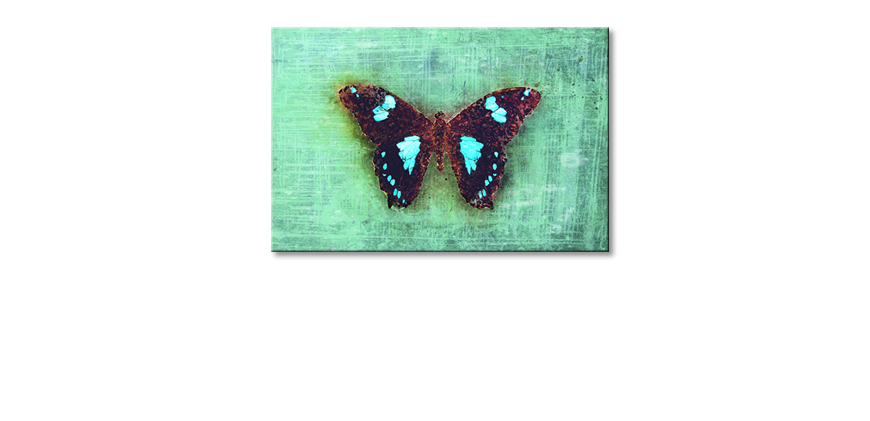 Modernes-Leinwandbild-Gloomy-Butterfly