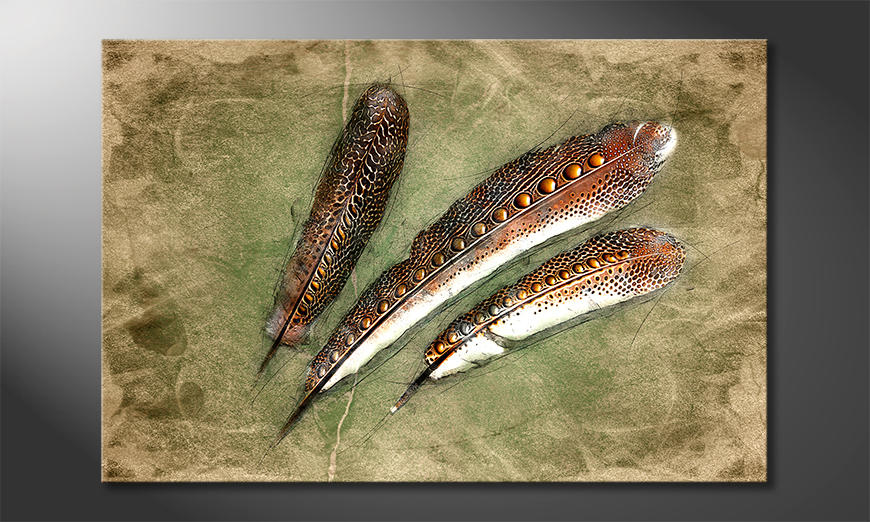 Wanddekoration-Feather-Of-Pheasan