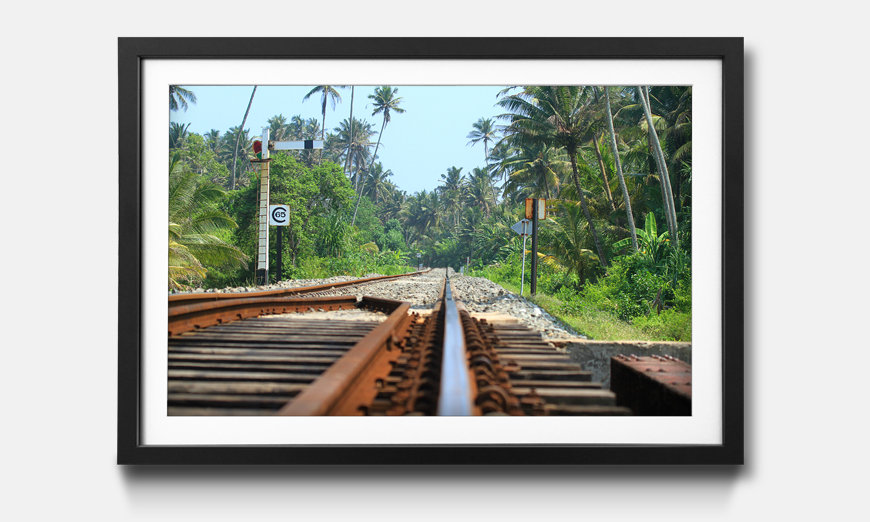 Der gerahmte Kunstdruck Sri Lanka Rails