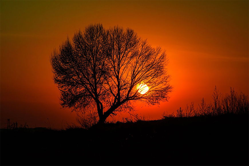 Vliestapete Sonnenuntergang ab 120x80cm