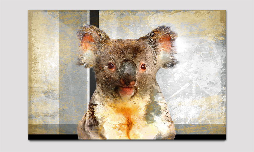 Das Acrylglasbild Chill Koala