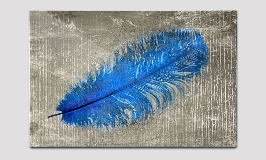 Das Acrylglasbild Feather In Blue