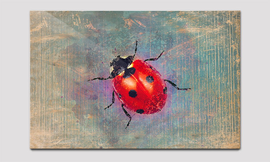Das Acrylglasbild Ladybug 