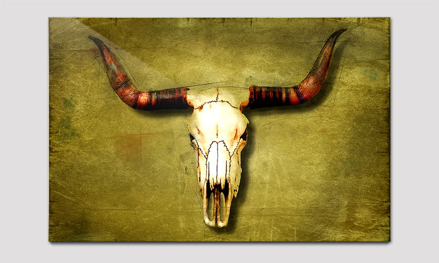 Das hochwertige Acrylglasbild Buffalo Bull