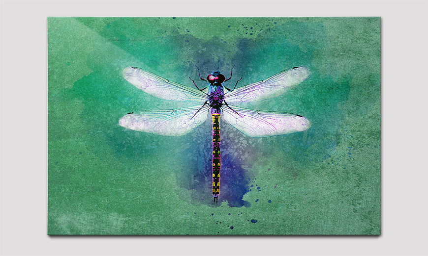 Das hochwertige Acrylglasbild Dragon Fly 