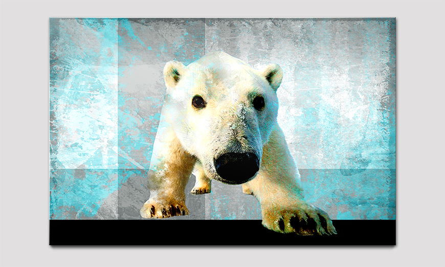 Das hochwertige Acrylglasbild Little Icebear