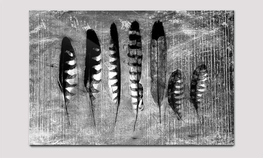 Das hochwertige Acrylglasbild Monochrome Feathers