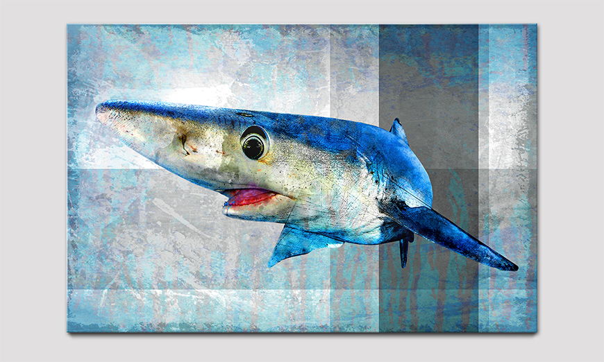 Das hochwertige Acrylglasbild Mr Shark