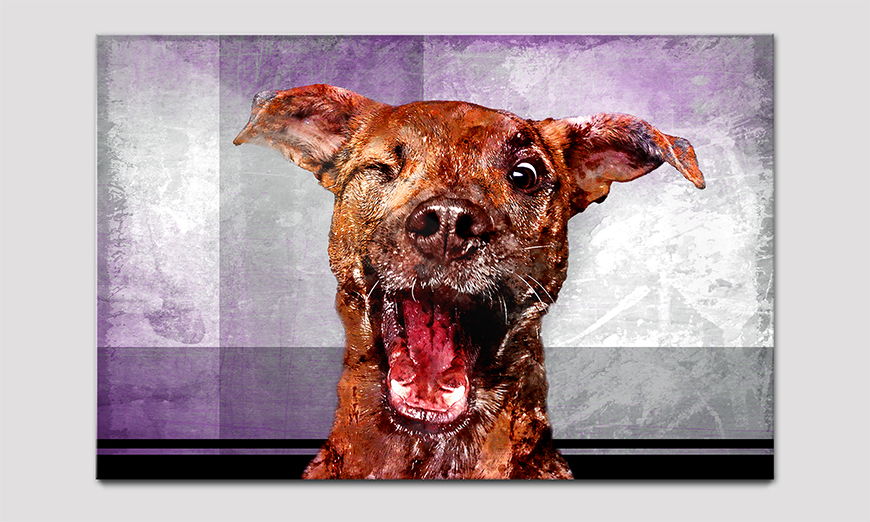 Druck hinter Acrylglasplatte Happy Dog