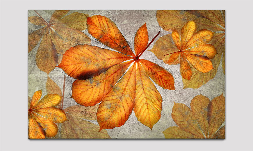 Qualitäsdruck hinter Acrylglas Beautiful Fall
