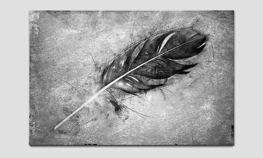 Qualitäsdruck hinter Acrylglas Beautiful Feather