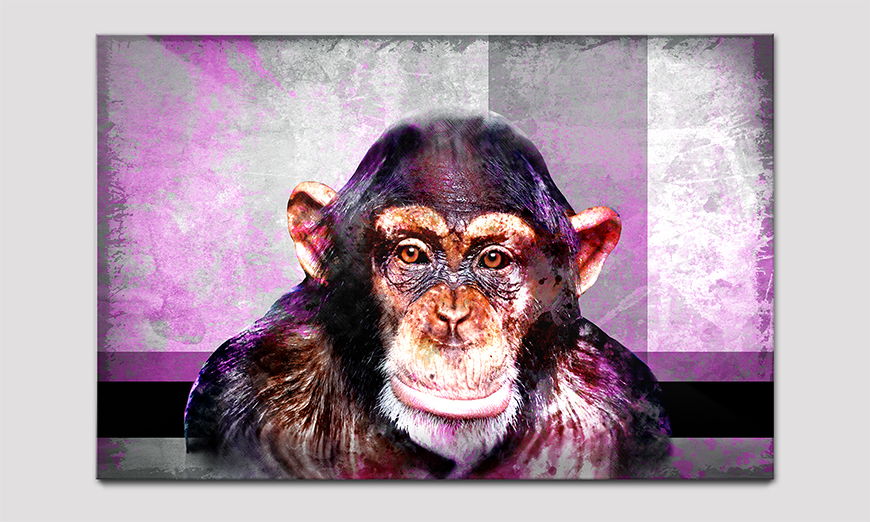 Unser Acrylglasbild Mr Monkey